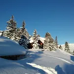 Alpin