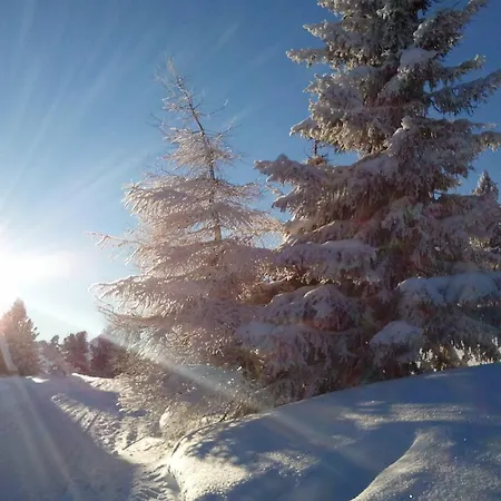 Lejlighed Alpin Kaltenbach