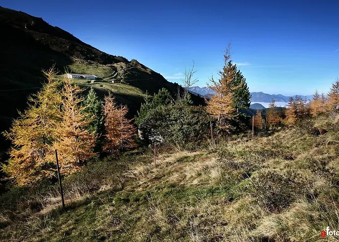 Alpin Διαμέρισμα Kaltenbach