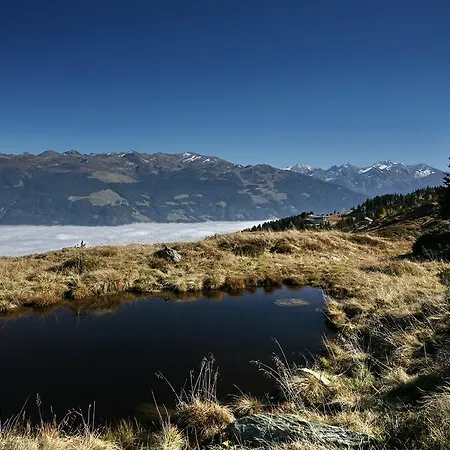 阿尔派别墅公寓 *