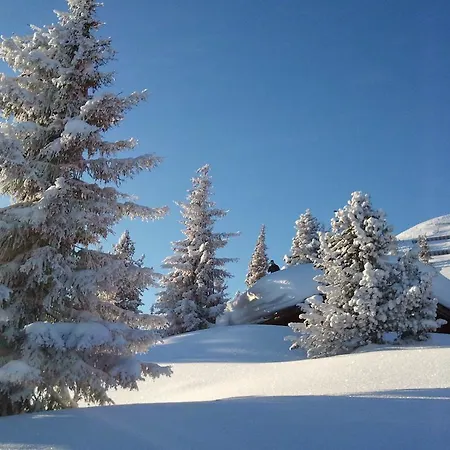 公寓 阿尔派别墅公寓 *