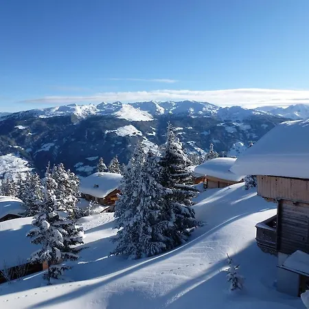 公寓 阿尔派别墅公寓 *