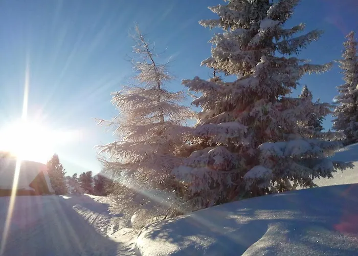 아파트 Alpin 칼텐바흐