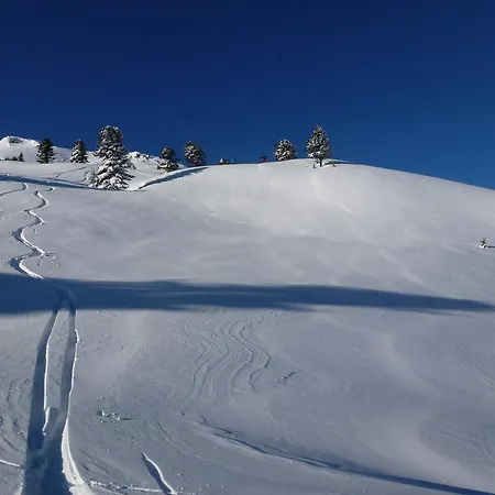 Lägenhet Alpin Kaltenbach